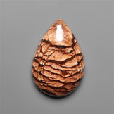 Biggs Jasper Selected Cabochon