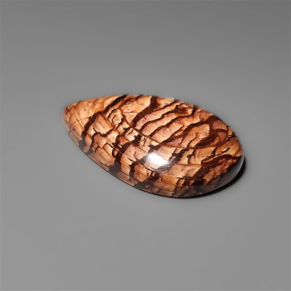 Biggs Jasper Selected Cabochon