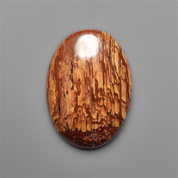 Biggs Jasper Selected Cabochon