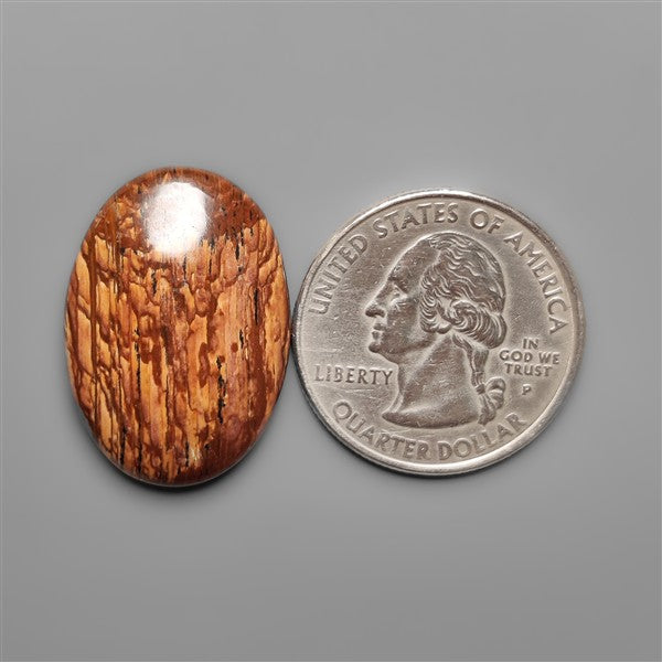 Biggs Jasper Selected Cabochon