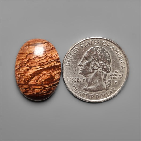 Biggs Jasper Selected Cabochon