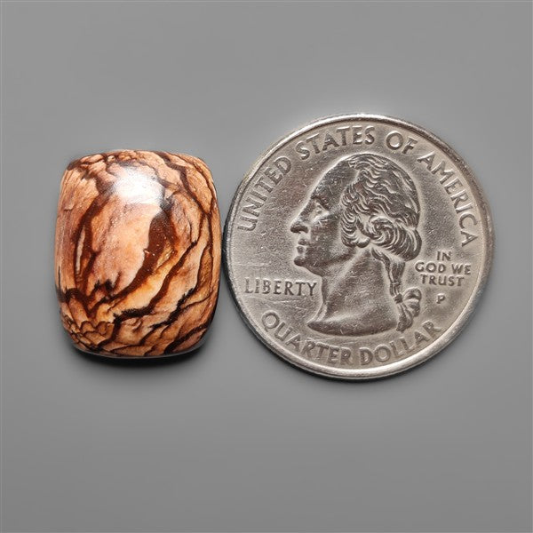 Biggs Jasper Selected Cabochon