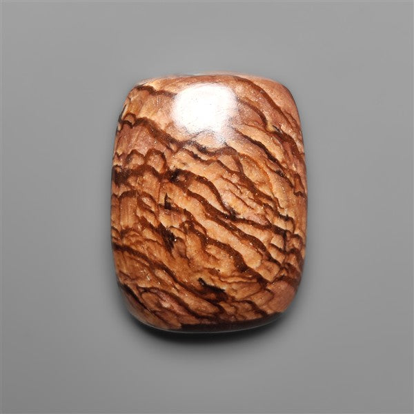 Biggs Jasper Selected Cabochon