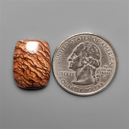 Biggs Jasper Selected Cabochon