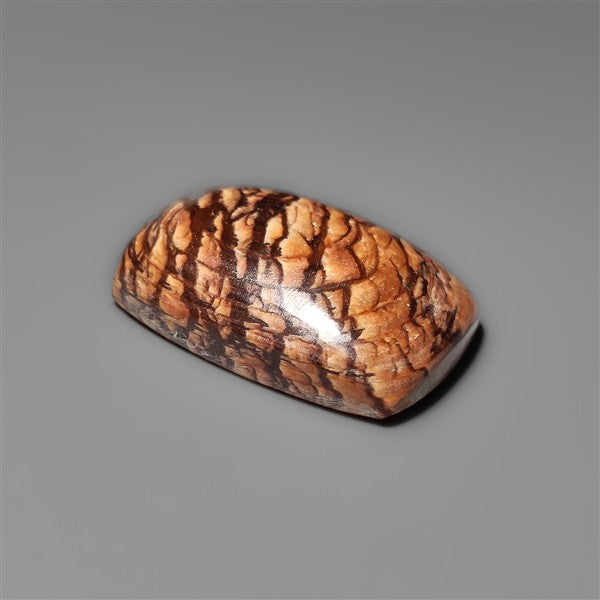 Biggs Jasper Selected Cabochon