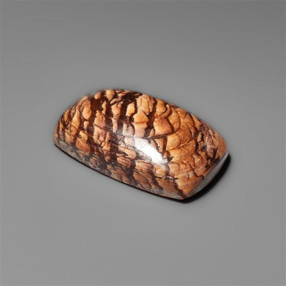 Biggs Jasper Selected Cabochon