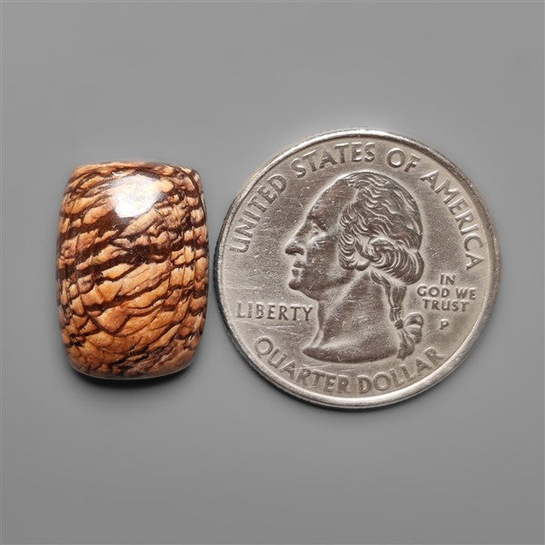 Biggs Jasper Selected Cabochon
