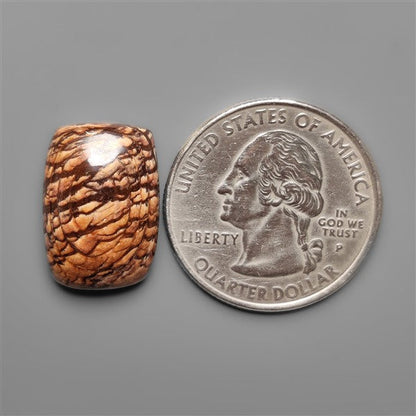 Biggs Jasper Selected Cabochon