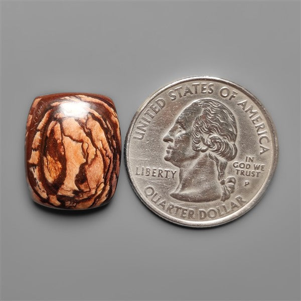Biggs Jasper Selected Cabochon