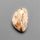Howardite Opal Cabochon