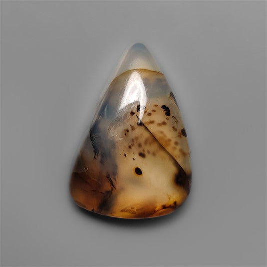 Montana Agate Cabochon