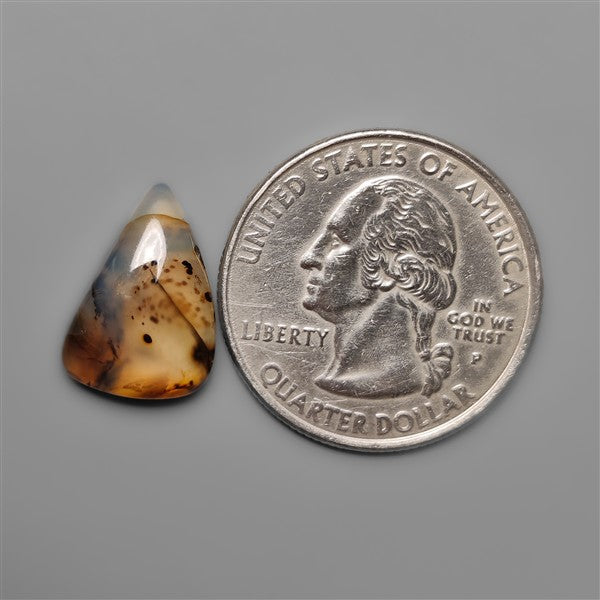Montana Agate Cabochon
