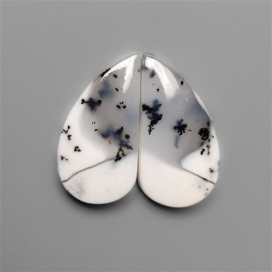 Dendritic Opals Pair