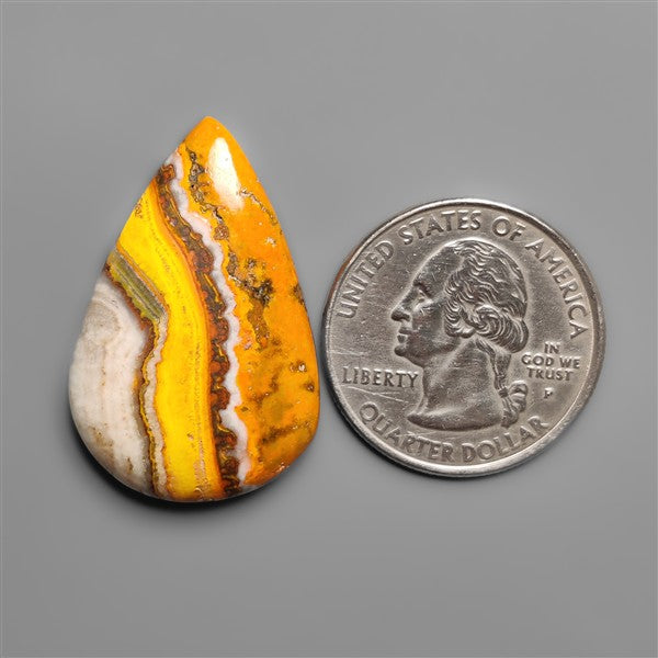 Bumble Bee Jasper Cabochon