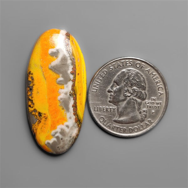Bumble Bee Jasper Cabochon
