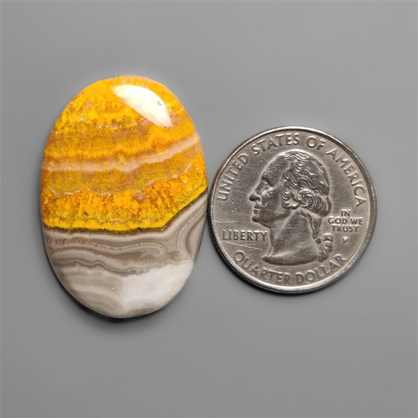 Bumble Bee Jasper Cabochon