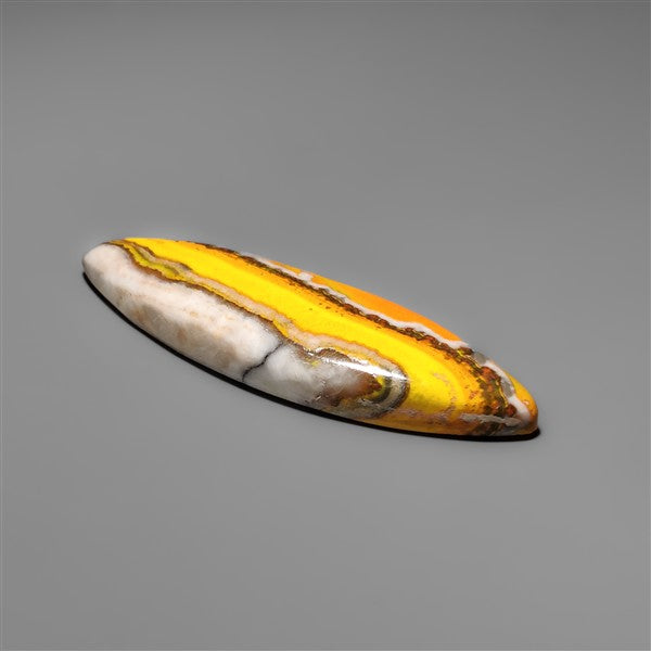 Bumble Bee Jasper Cabochon
