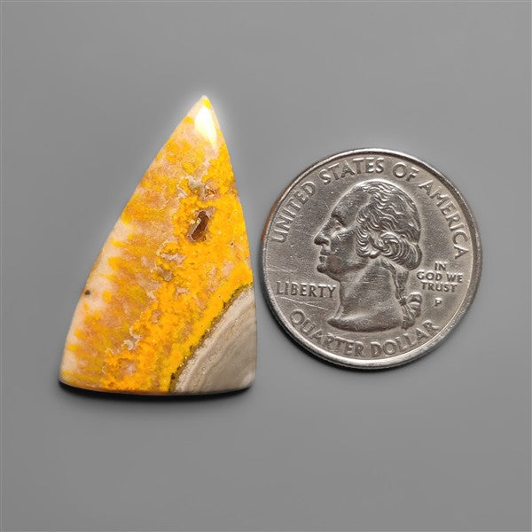 Bumble Bee Jasper Cabochon