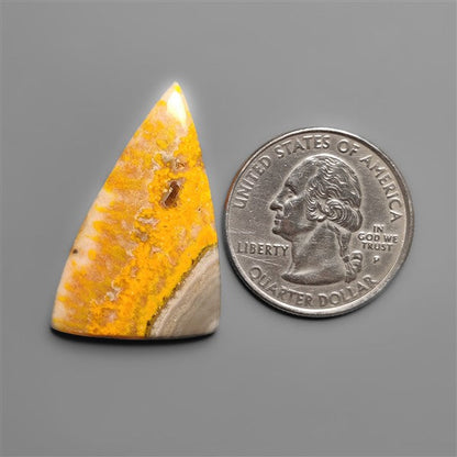 Bumble Bee Jasper Cabochon