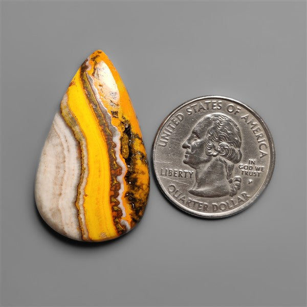 Bumble Bee Jasper Cabochon