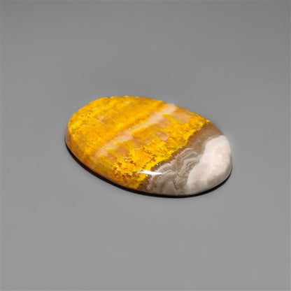 Bumble Bee Jasper Cabochon
