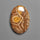 Moroccan Fossil Coral Cabochon