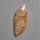 Moroccan Fossil Coral Cabochon
