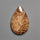 Moroccan Fossil Coral Cabochon