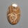Moroccan Fossil Coral Cabochon
