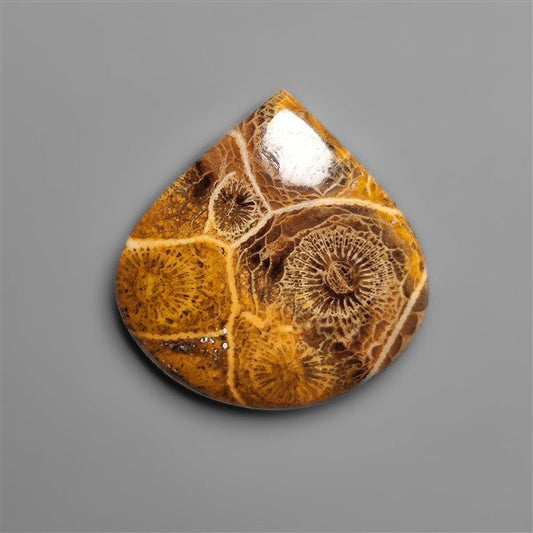 Moroccan Fossil Coral Cabochon