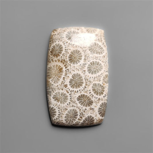 Fossil Coral Cabochon