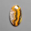 Bumble Bee Jasper Cabochon