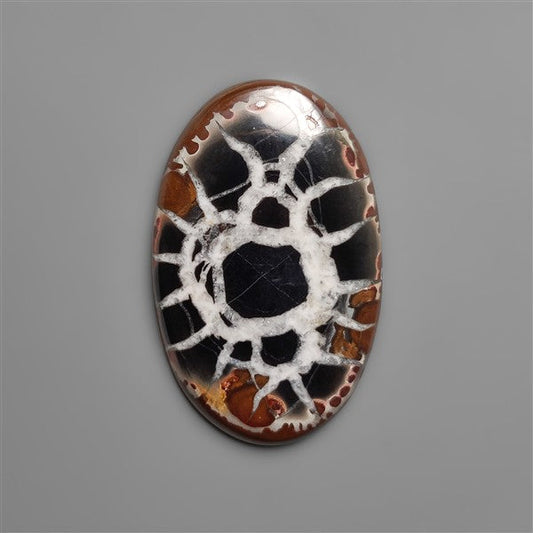 Black Septarian Fossil Cabochon