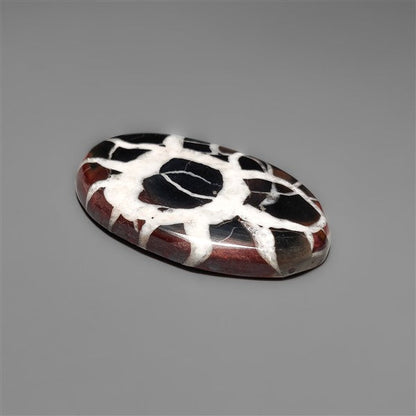 Black Septarian Fossil Cabochon