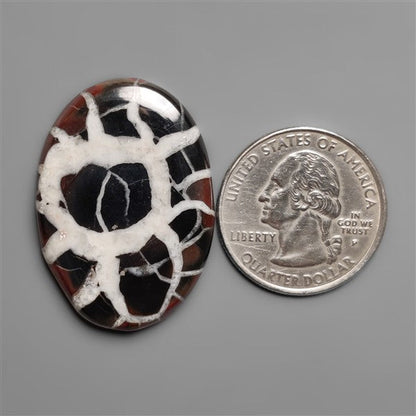 Black Septarian Fossil Cabochon