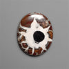 Black Septarian Fossil Cabochon