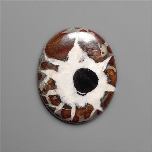 Black Septarian Fossil Cabochon