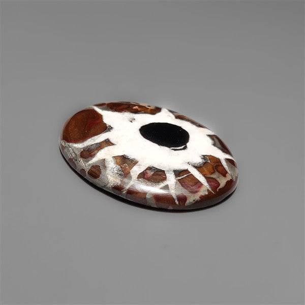 Black Septarian Fossil Cabochon