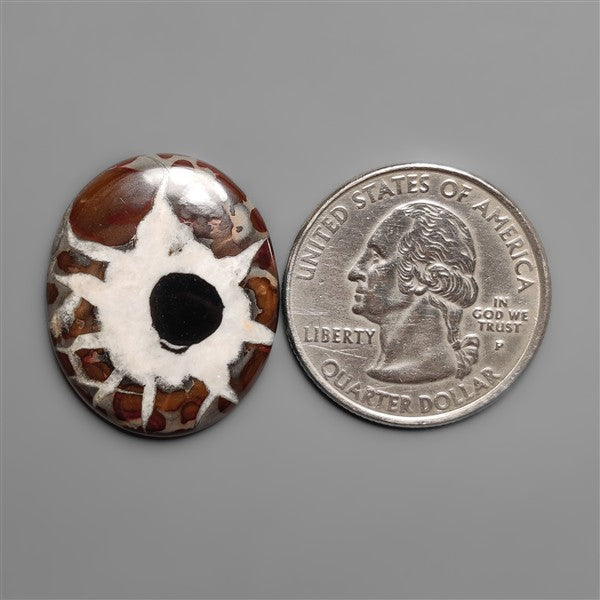 Black Septarian Fossil Cabochon