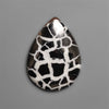 Black Septarian Fossil Cabochon