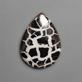 Black Septarian Fossil Cabochon