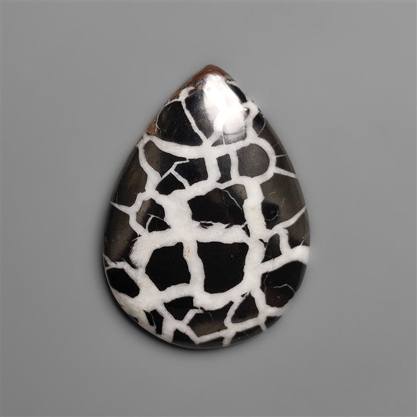 Black Septarian Fossil Cabochon