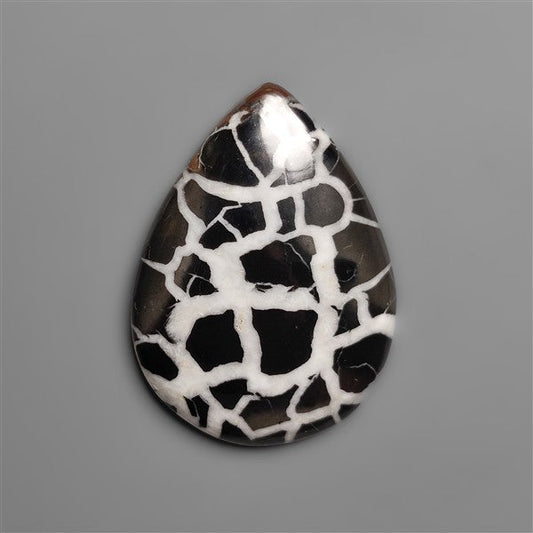 Black Septarian Fossil Cabochon