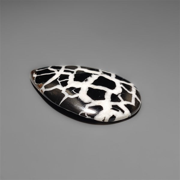 Black Septarian Fossil Cabochon