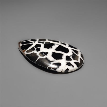 Black Septarian Fossil Cabochon