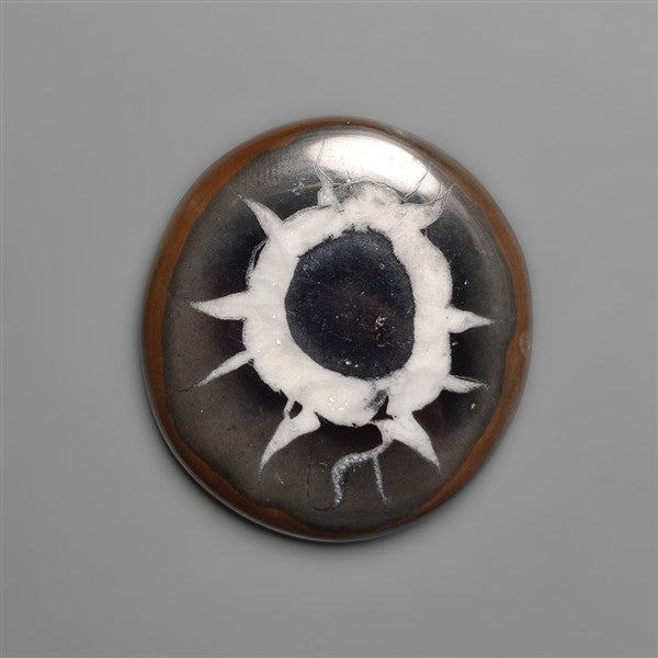Black Septarian Fossil Cabochon