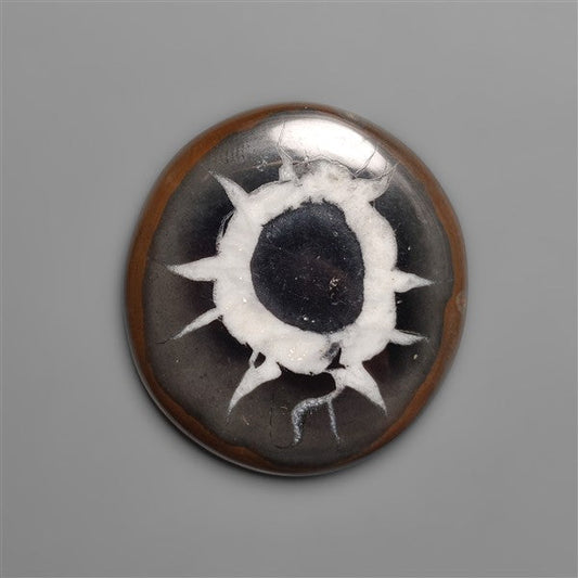 Black Septarian Fossil Cabochon