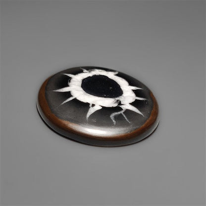 Black Septarian Fossil Cabochon
