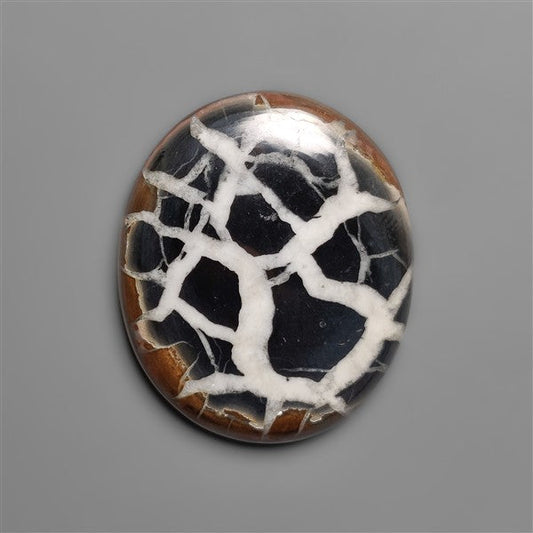 Black Septarian Fossil Cabochon