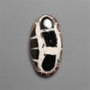 Black Septarian Fossil Cabochon